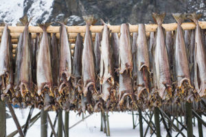 Norway stockfish suppliers