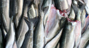 Norway stockfish suppliers