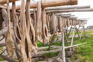 Stockfish Companies In Norway