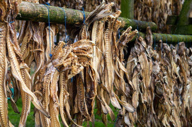 Stockfish Companies In Norway