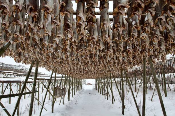 Where to buy stockfish in Norway